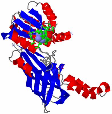 Image Asym. Unit - sites