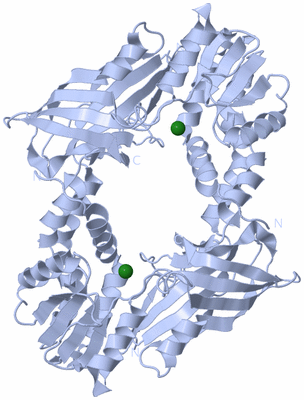 Image Biological Unit 1