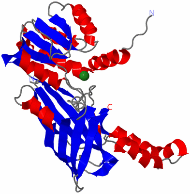 Image Asym. Unit - sites