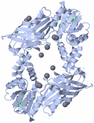 Image Biological Unit 1