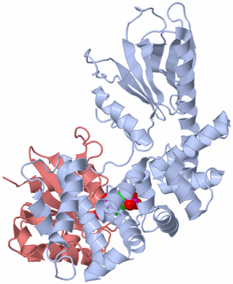 Image Biological Unit 2