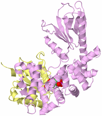 Image Biological Unit 3