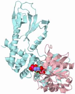 Image Biological Unit 4