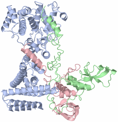 Image Asym./Biol. Unit