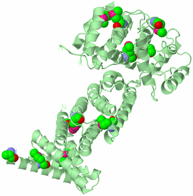 Image Biological Unit 2