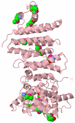 Image Biological Unit 3