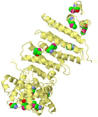 Image Biological Unit 4