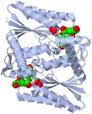 Image Biological Unit 1