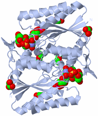 Image Biological Unit 1