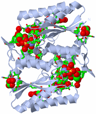 Image Biol. Unit 1 - sites