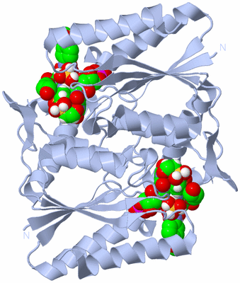 Image Biological Unit 1