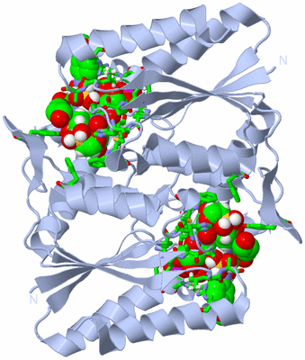 Image Biol. Unit 1 - sites