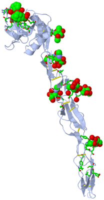 Image Biol. Unit 1 - sites