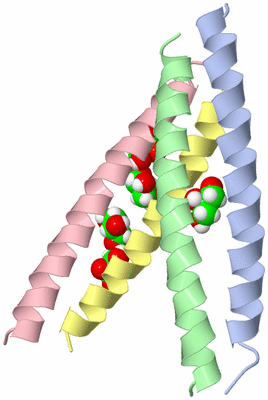 Image Asymmetric Unit