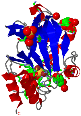 Image Asym./Biol. Unit - sites