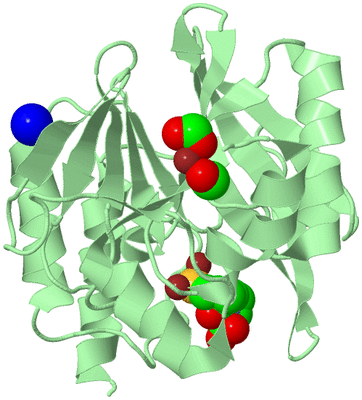 Image Biological Unit 2