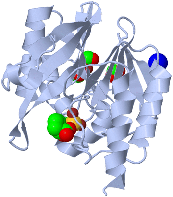 Image Biological Unit 1