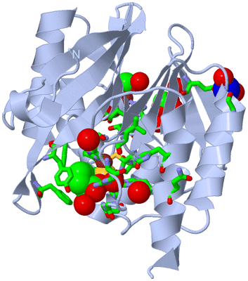 Image Biol. Unit 1 - sites