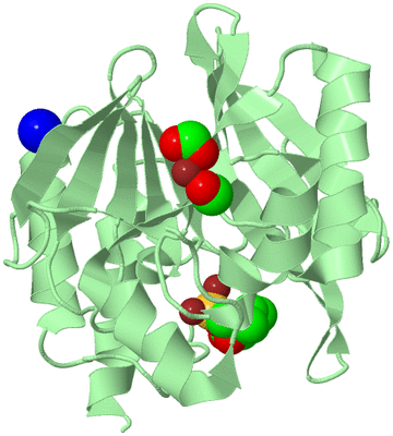 Image Biological Unit 2