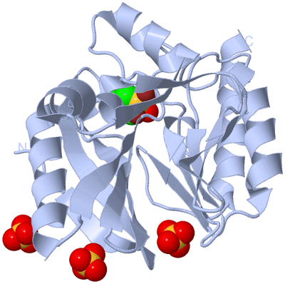 Image Biological Unit 1