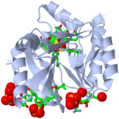 Image Biol. Unit 1 - sites