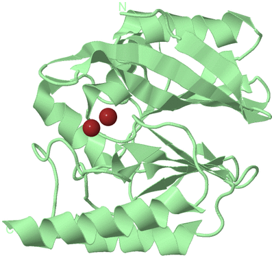 Image Biological Unit 2