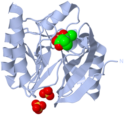 Image Biological Unit 1