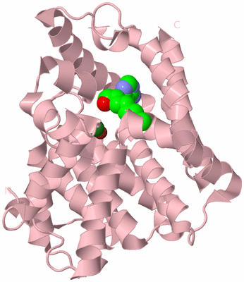 Image Biological Unit 3