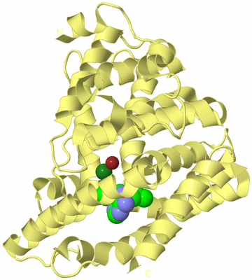 Image Biological Unit 4