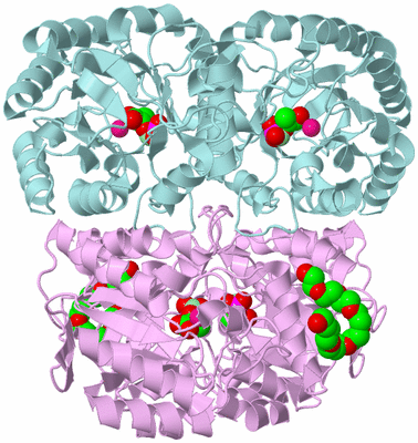 Image Biological Unit 1