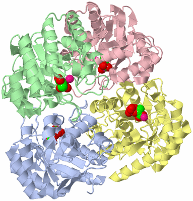 Image Biological Unit 2