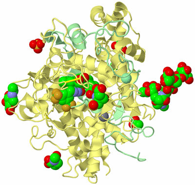 Image Biological Unit 1