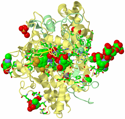 Image Biol. Unit 1 - sites