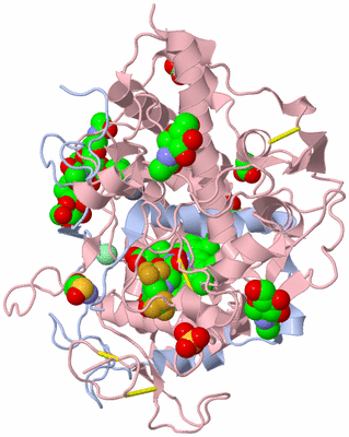 Image Biological Unit 2