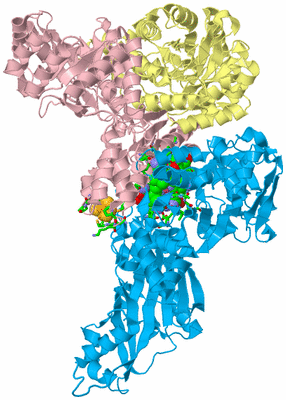 Image Biol. Unit 1 - sites