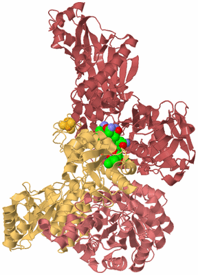 Image Biological Unit 2