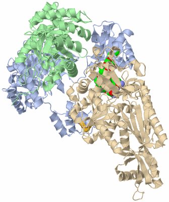 Image Biological Unit 3