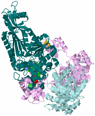 Image Biological Unit 4