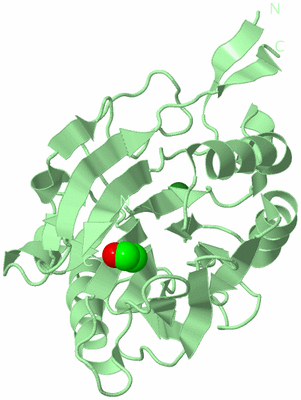 Image Biological Unit 2