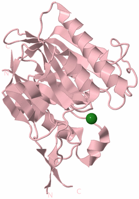 Image Biological Unit 3