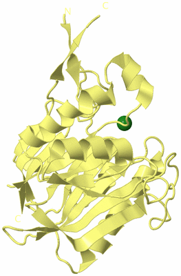 Image Biological Unit 4