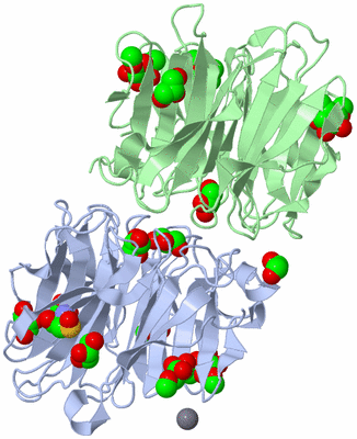 Image Biological Unit 1