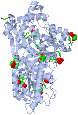 Image Biol. Unit 1 - sites