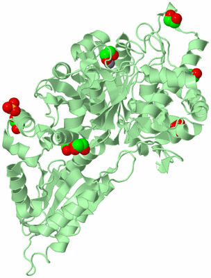 Image Biological Unit 2