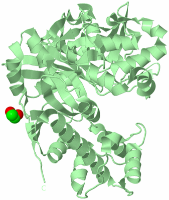 Image Biological Unit 2