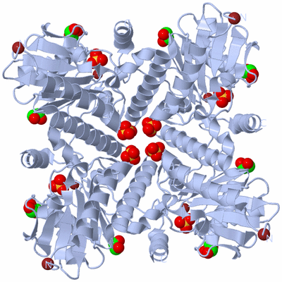 Image Biological Unit 1