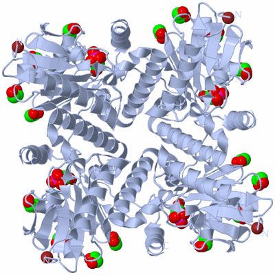 Image Biological Unit 1