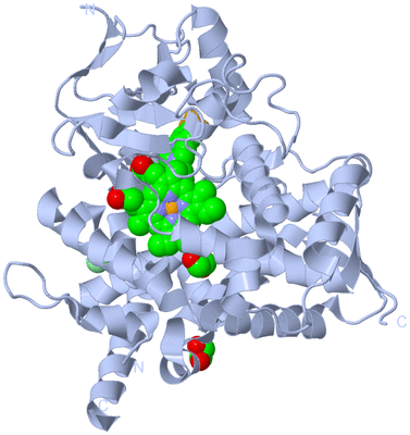 Image Biological Unit 1