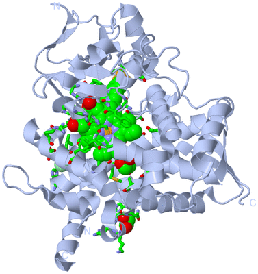 Image Biol. Unit 1 - sites