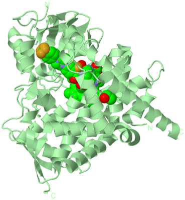 Image Biological Unit 2